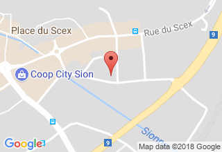 Plan de localisation de Pitteloud Peinture Sàrl