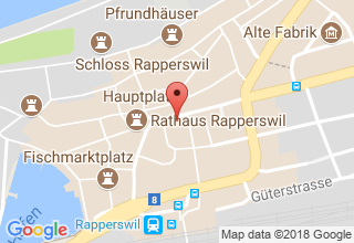 Plan de localisation de Rheuma Rapperswil