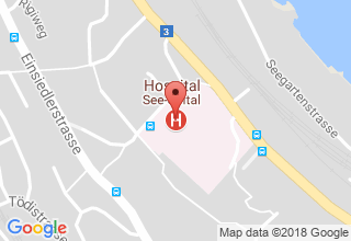 Plan de localisation de See-Spital Horgen