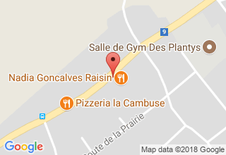 Plan de localisation de Raisin