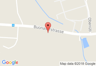 Plan de localisation de Bachmann Anton AG