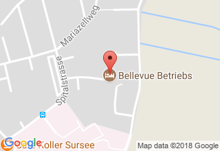 Plan de localisation de Bellevue am See