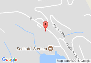 Plan de localisation de Winkel AG Metallbau Horw