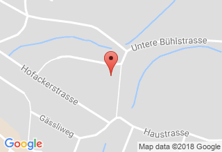 Plan de localisation de Rüttimann Gartenbau GmbH