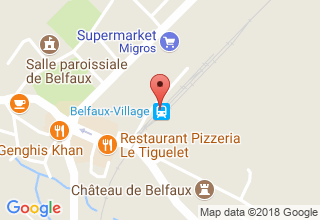 Plan de localisation de Transports publics fribourgeois