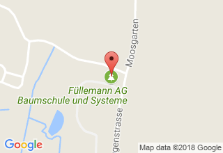 Plan de localisation de Füllemann AG