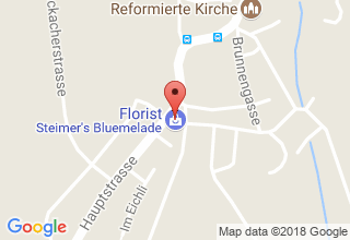 Plan de localisation de Bluemehuus Steimer