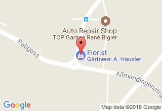 Plan de localisation de Blumen Häusler