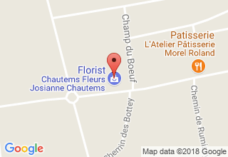 Plan de localisation de Chautems Fleurs