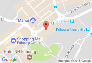 Plan de localisation de ACE Expertises van Zanten Sàrl
